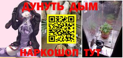 каннабис Гатчина